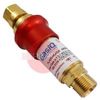 30050000 GasiQ Safe-X 1000 Acetylene Resttable Flashback Arrestor. G3/8